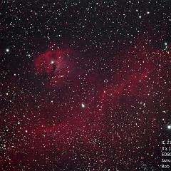 IC2177 Seagul_Jan13_2012d_sm
